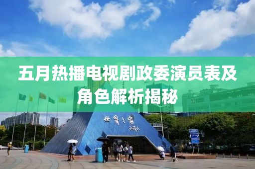 五月热播电视剧政委演员表及角色解析揭秘