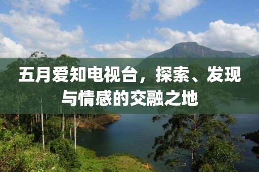 五月爱知电视台，探索、发现与情感的交融之地