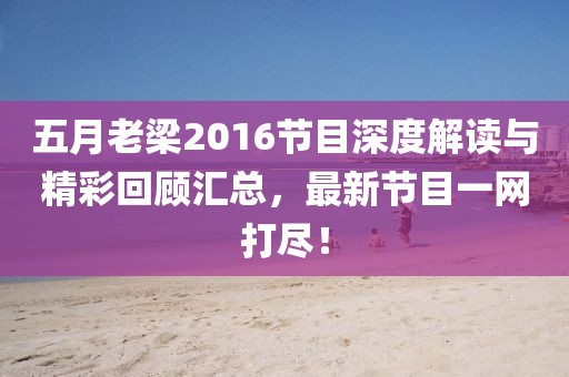 五月老梁2016节目深度解读与精彩回顾汇总，最新节目一网打尽！