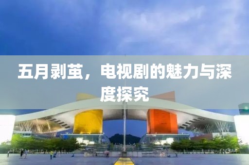 五月剥茧，电视剧的魅力与深度探究