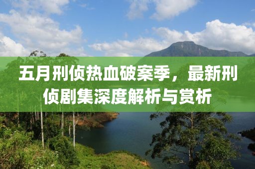 五月刑侦热血破案季，最新刑侦剧集深度解析与赏析