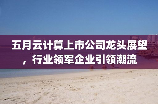五月云计算上市公司龙头展望，行业领军企业引领潮流