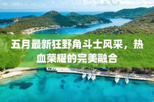 五月最新狂野角斗士风采，热血荣耀的完美融合