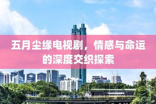 五月尘缘电视剧，情感与命运的深度交织探索