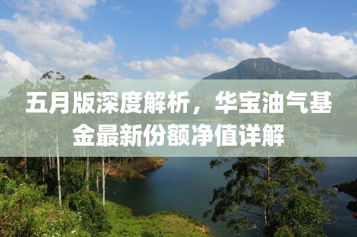 五月版深度解析，华宝油气基金最新份额净值详解