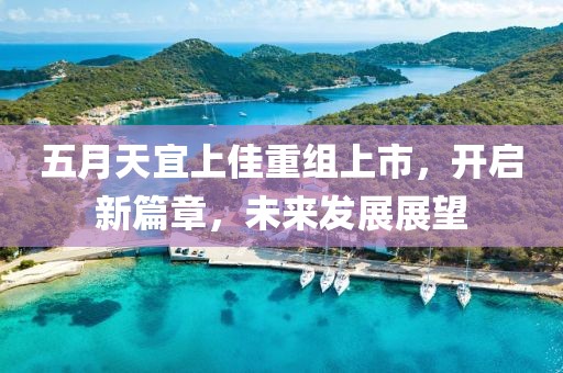 五月天宜上佳重组上市，开启新篇章，未来发展展望