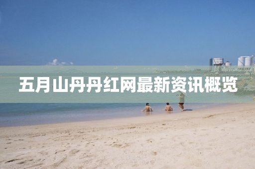 五月山丹丹红网最新资讯概览
