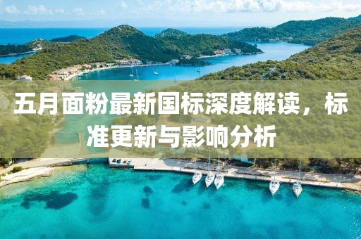 五月面粉最新国标深度解读，标准更新与影响分析