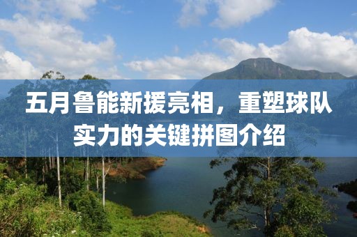 五月鲁能新援亮相，重塑球队实力的关键拼图介绍