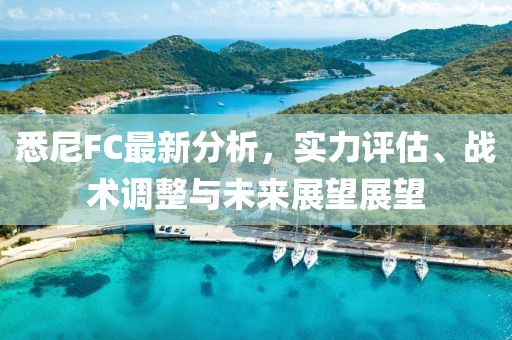 悉尼FC最新分析，实力评估、战术调整与未来展望展望