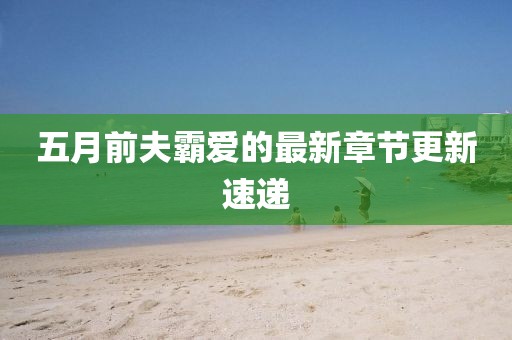 五月前夫霸爱的最新章节更新速递