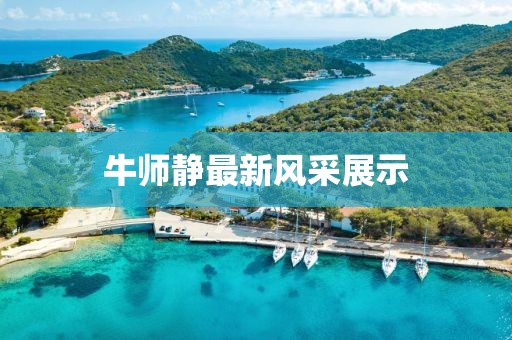 牛师静最新风采展示