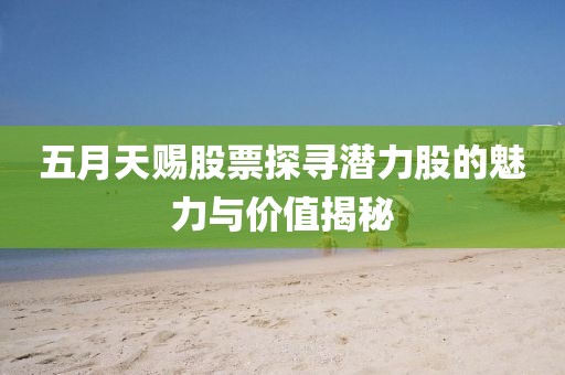 五月天赐股票探寻潜力股的魅力与价值揭秘