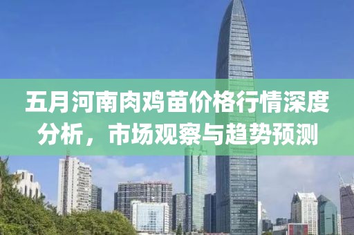 五月河南肉鸡苗价格行情深度分析，市场观察与趋势预测