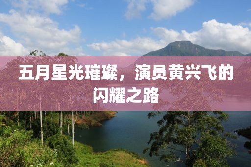 五月星光璀璨，演员黄兴飞的闪耀之路