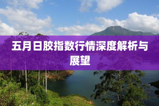 五月日胶指数行情深度解析与展望