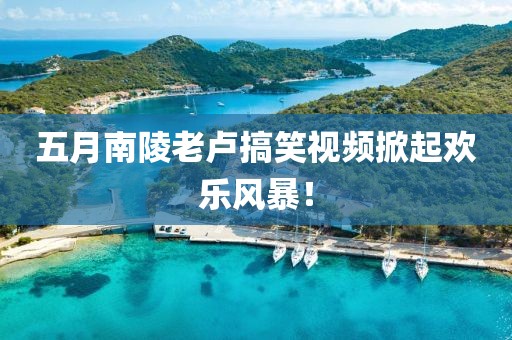 五月南陵老卢搞笑视频掀起欢乐风暴！