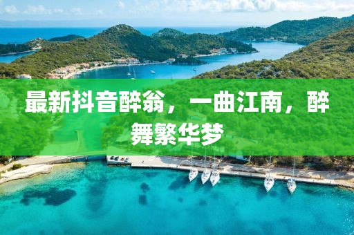 最新抖音醉翁，一曲江南，醉舞繁华梦