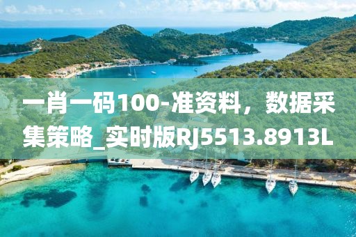 一肖一码100-准资料，数据采集策略_实时版RJ5513.8913L
