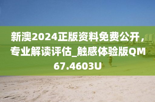新澳2024正版资料免费公开，专业解读评估_触感体验版QM67.4603U