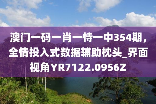 澳门一码一肖一恃一中354期，全情投入式数据辅助枕头_界面视角YR7122.0956Z