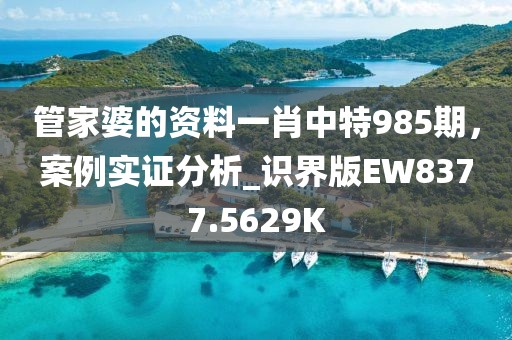 管家婆的资料一肖中特985期，案例实证分析_识界版EW8377.5629K