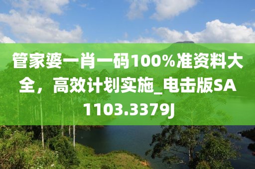 管家婆一肖一码100%准资料大全，高效计划实施_电击版SA1103.3379J