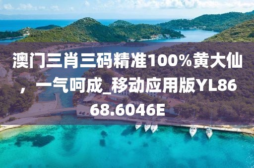 澳门三肖三码精准100%黄大仙，一气呵成_移动应用版YL8668.6046E