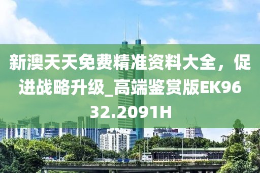 新澳天天免费精准资料大全，促进战略升级_高端鉴赏版EK9632.2091H