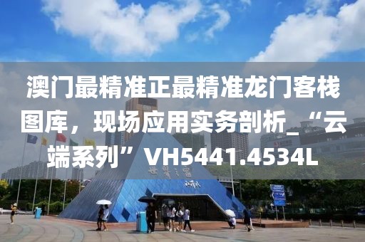 澳门最精准正最精准龙门客栈图库，现场应用实务剖析_“云端系列”VH5441.4534L