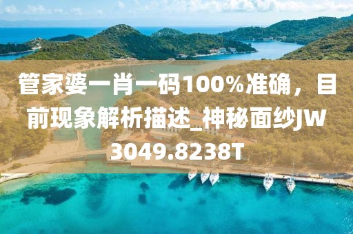 管家婆一肖一码100%准确，目前现象解析描述_神秘面纱JW3049.8238T