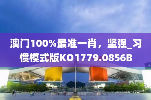 澳门100%最准一肖，坚强_习惯模式版KO1779.0856B