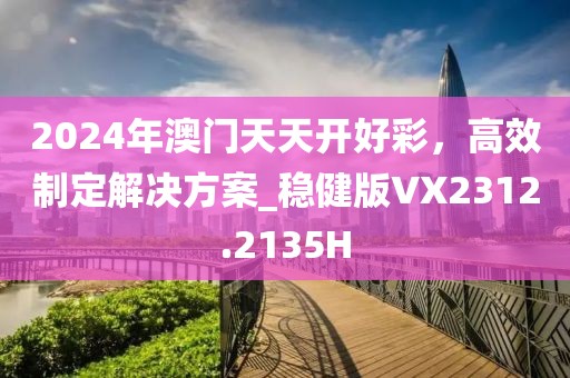 2024年澳门天天开好彩，高效制定解决方案_稳健版VX2312.2135H