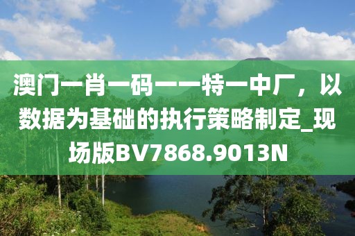澳门一肖一码一一特一中厂，以数据为基础的执行策略制定_现场版BV7868.9013N