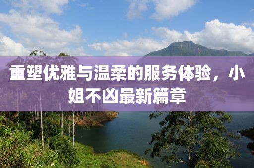 重塑优雅与温柔的服务体验，小姐不凶最新篇章