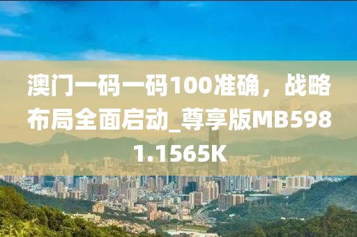 澳门一码一码100准确，战略布局全面启动_尊享版MB5981.1565K