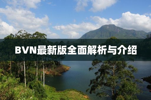 BVN最新版全面解析与介绍