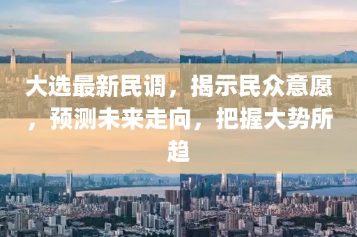 大选最新民调，揭示民众意愿，预测未来走向，把握大势所趋