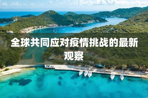 花落半歌 第29页