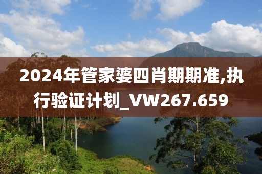 2024年管家婆四肖期期准,执行验证计划_VW267.659
