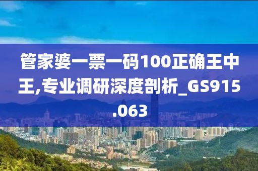 管家婆一票一码100正确王中王,专业调研深度剖析_GS915.063