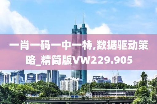 一肖一码一中一特,数据驱动策略_精简版VW229.905