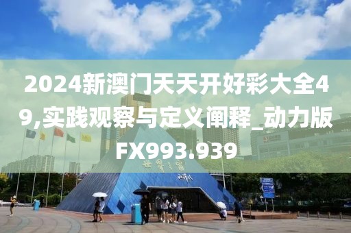 2024新澳门天天开好彩大全49,实践观察与定义阐释_动力版FX993.939