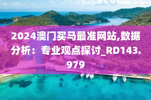 2024澳门买马最准网站,数据分析：专业观点探讨_RD143.979