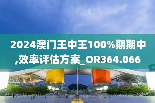 2024澳门王中王100%期期中,效率评估方案_OR364.066