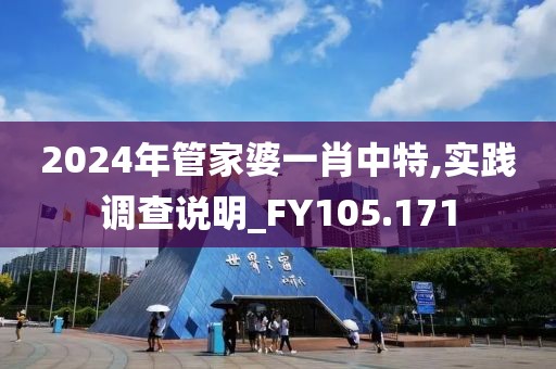 2024年管家婆一肖中特,实践调查说明_FY105.171