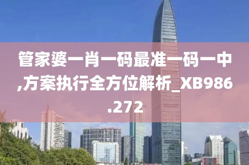 管家婆一肖一码最准一码一中,方案执行全方位解析_XB986.272