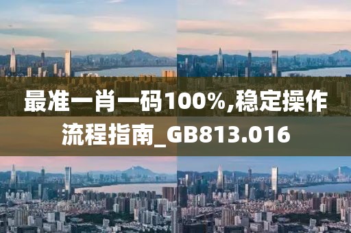 最准一肖一码100%,稳定操作流程指南_GB813.016