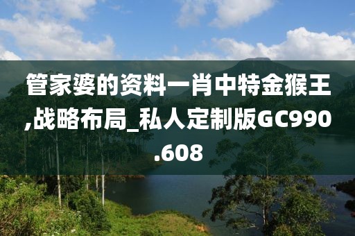 管家婆的资料一肖中特金猴王,战略布局_私人定制版GC990.608