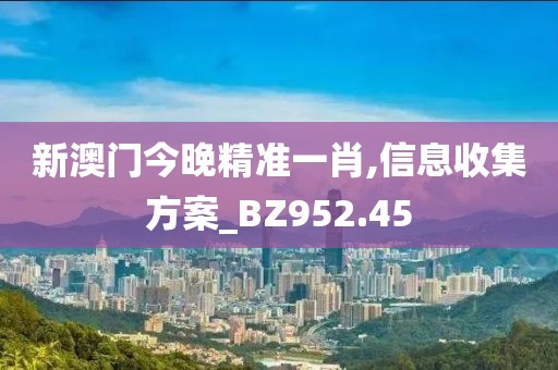 新澳门今晚精准一肖,信息收集方案_BZ952.45
